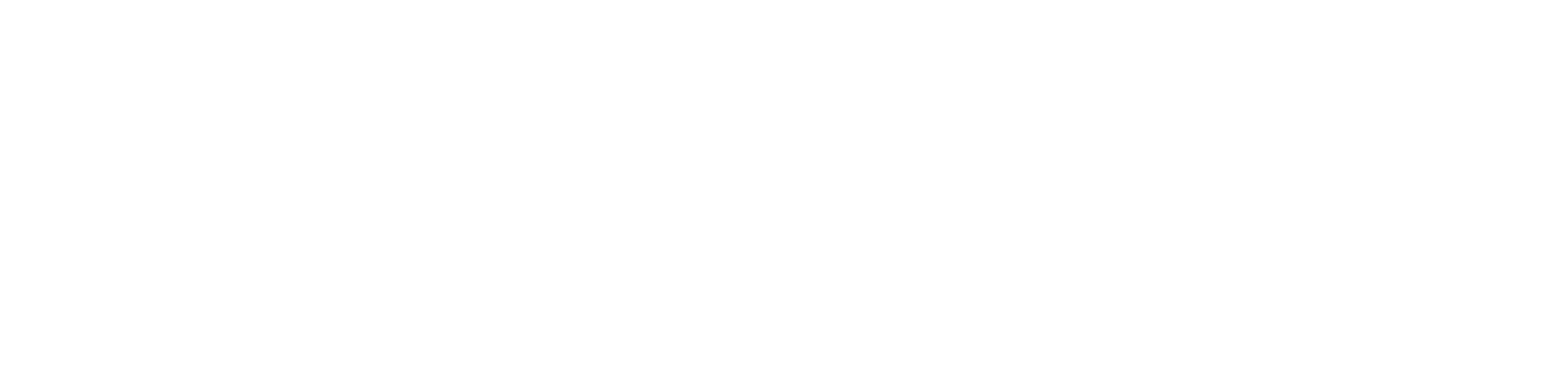 NYX NOIR